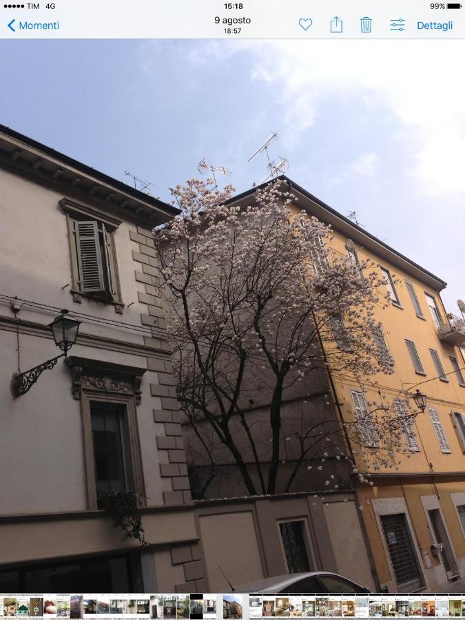 Magnolia Bed & Breakfast Casale Monferrato Dış mekan fotoğraf