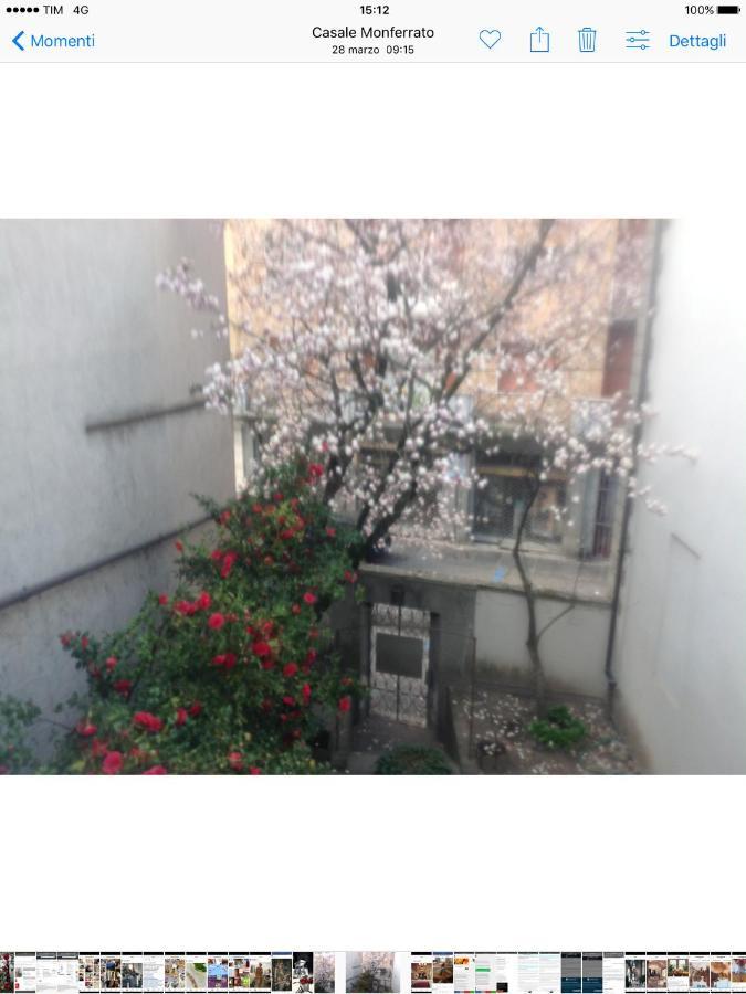 Magnolia Bed & Breakfast Casale Monferrato Dış mekan fotoğraf